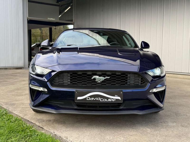 Image thumb annonce 4